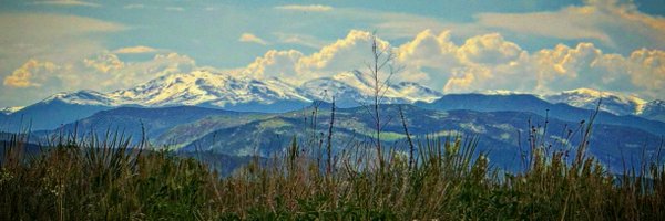 mmckinnon Profile Banner