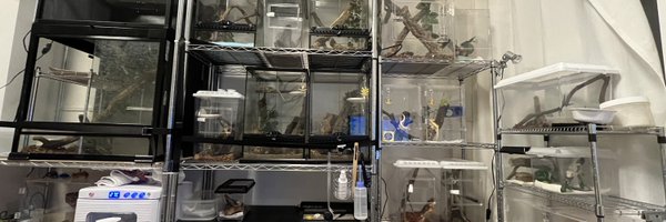 terra_cotta24 Profile Banner