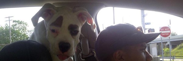 artg213 Profile Banner