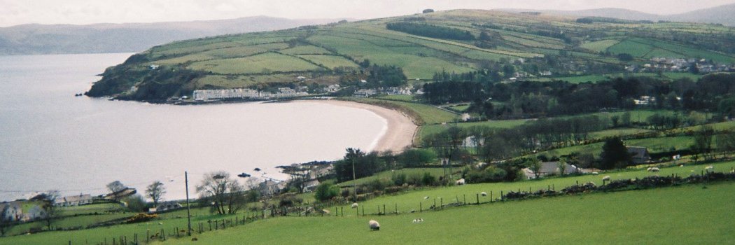 Dr Molly Goyer Gorman banner