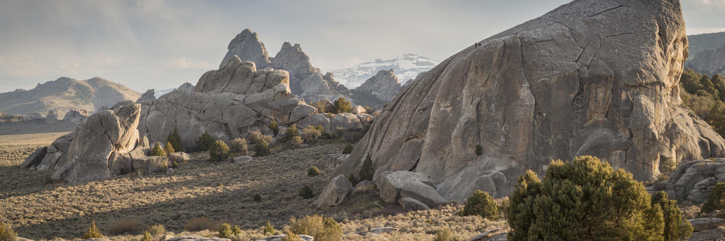 aramosramirez banner