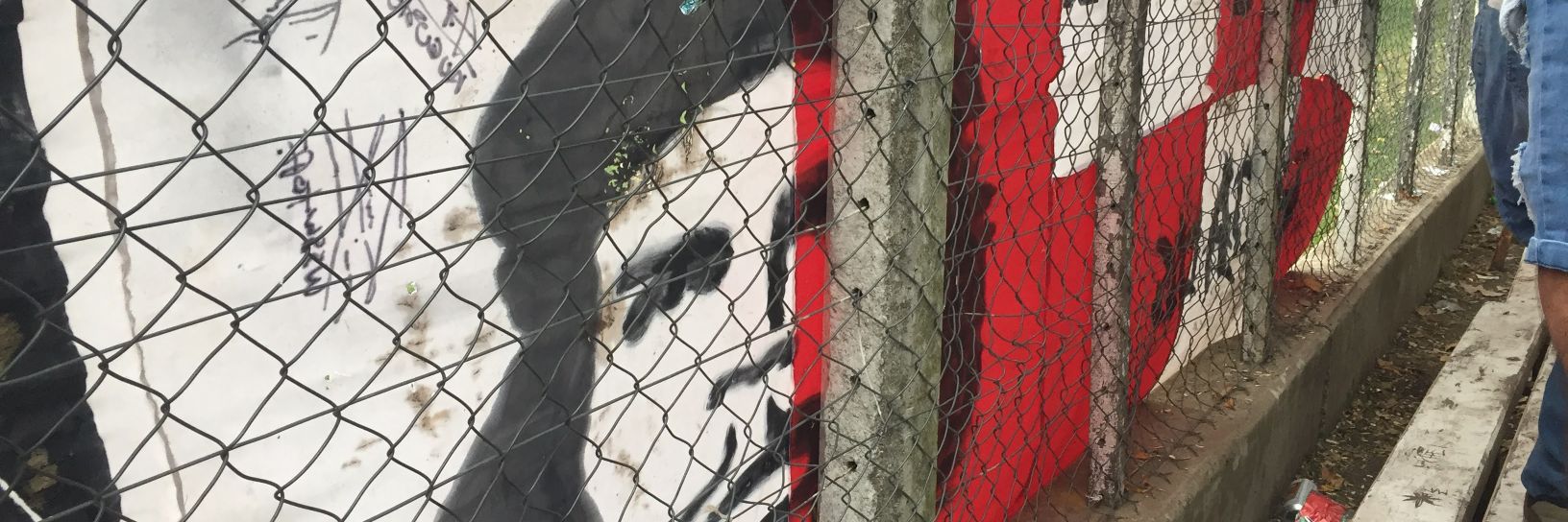 pensando como una acelga banner