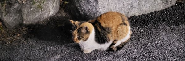 saeron_22 Profile Banner