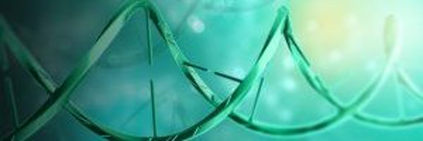 digistain Profile Banner