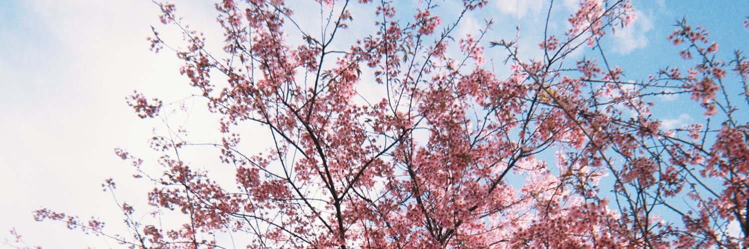 vitorinharod's profile banner image