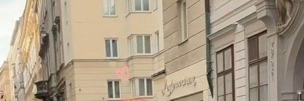 bobooknerd Profile Banner