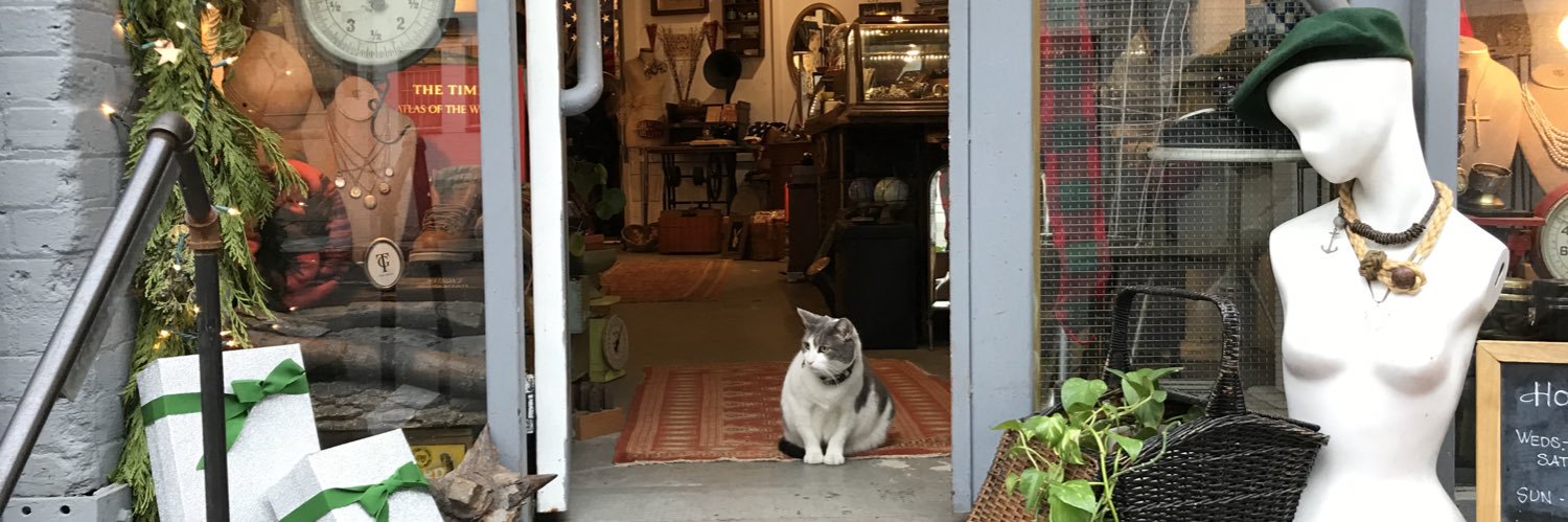 Elliot Waldman banner