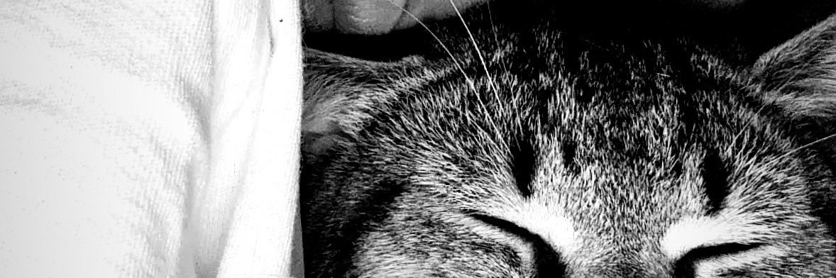 slm_srs's profile banner image