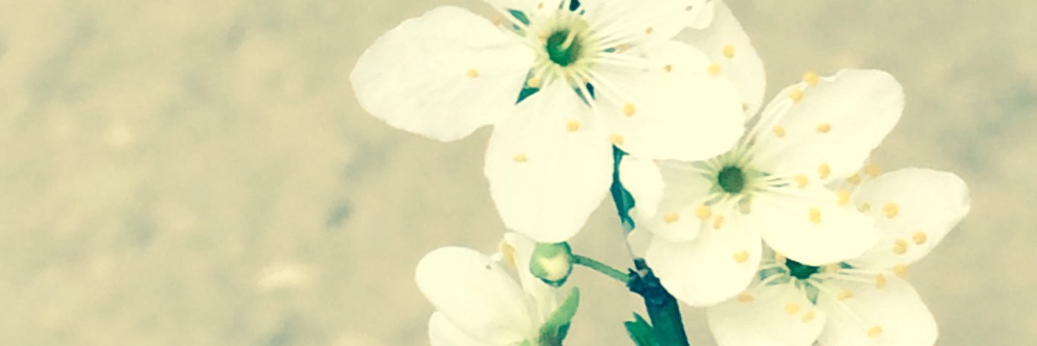 MMM71M's profile banner image