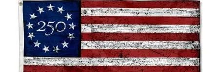 Freedom in America! banner