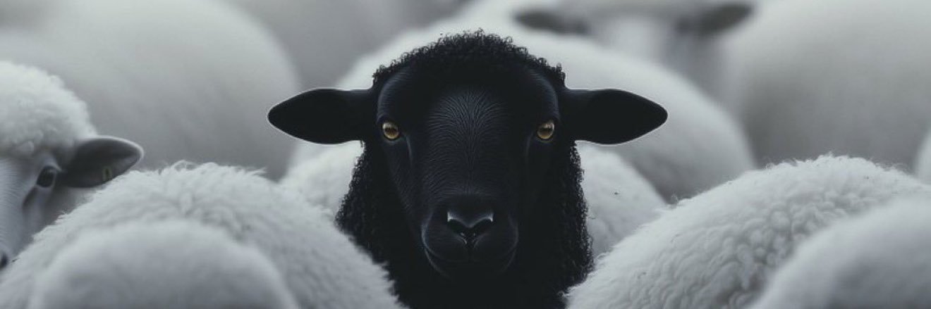 _jbsb's profile banner image