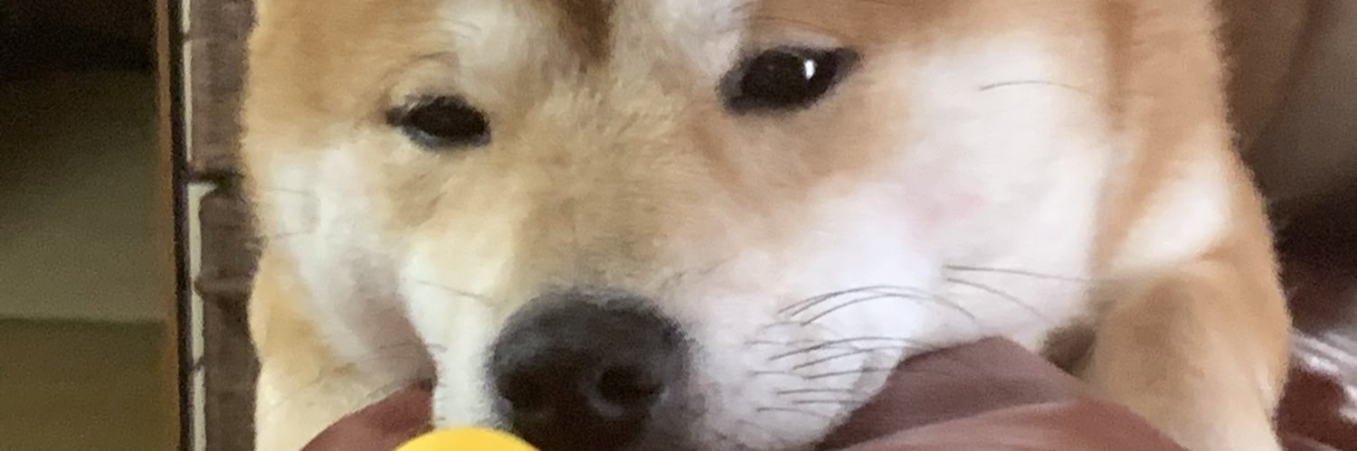 KAIRU banner
