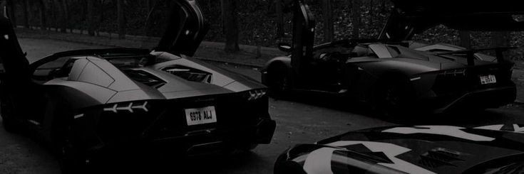 AMER banner