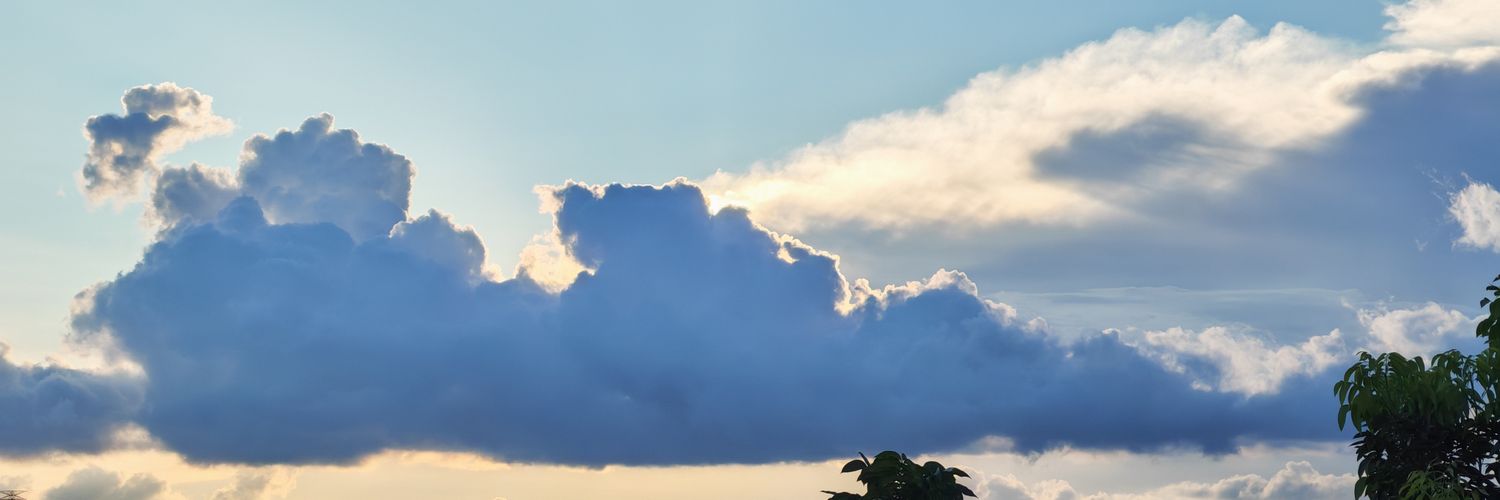 MfhJony999's profile banner image