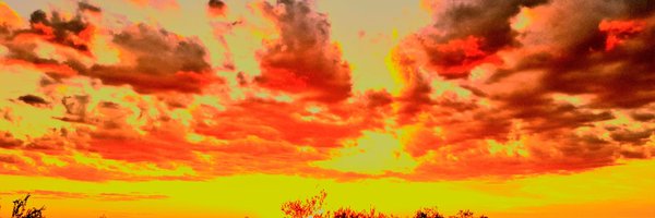 55Renata Profile Banner