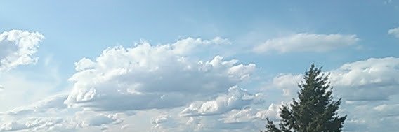 Little_Ben's profile banner image