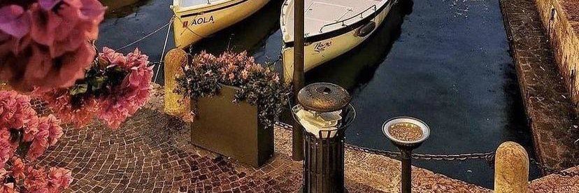 Professor 💫 banner