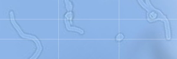 LowPascalCenter Profile Banner