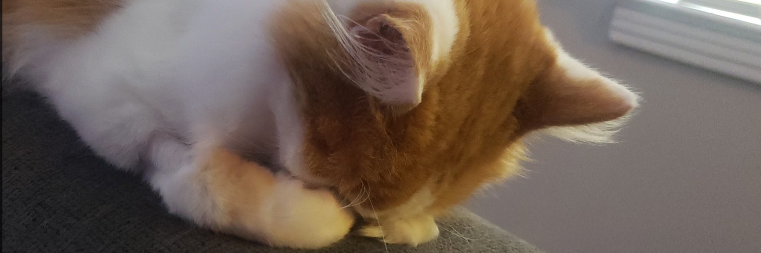 Danny 🐀🐊 banner