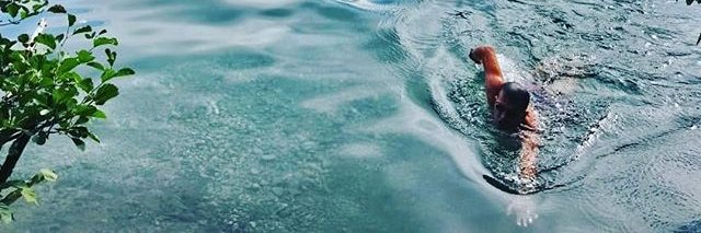dbarenas's profile banner image