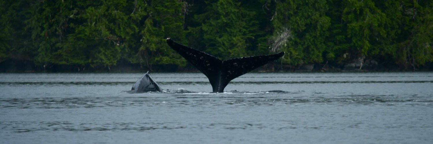 Clea Skunaplhawitawtuuxin banner