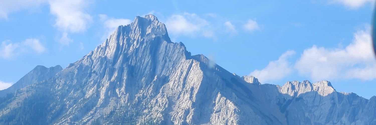LJPulvinar's profile banner image