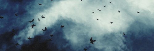 FallenHero__'s profile banner image