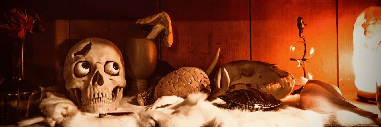 𝐍𝐨𝐚𝐡 𝐌𝐢𝐥𝐥𝐞𝐫 🪶 🕊 🆗's banner