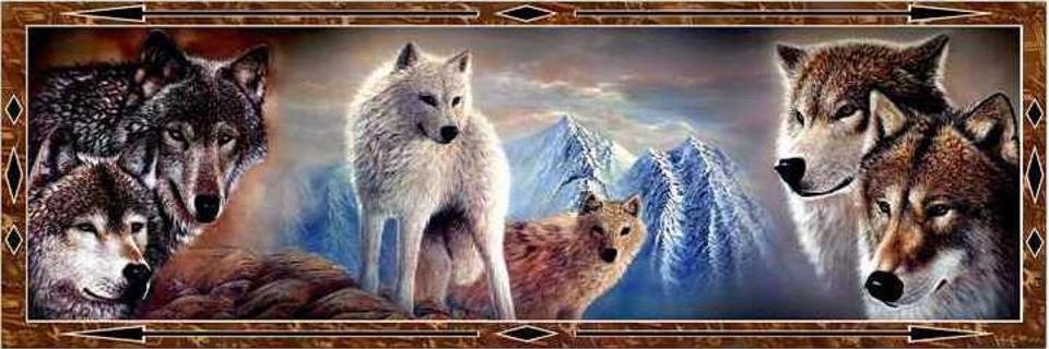 WolfWalker65's profile banner image