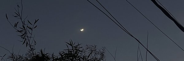 sojaoyuviii Profile Banner
