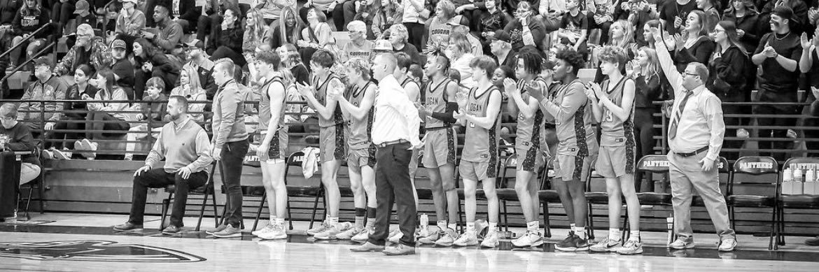 Logan County Cougar Basketball banner