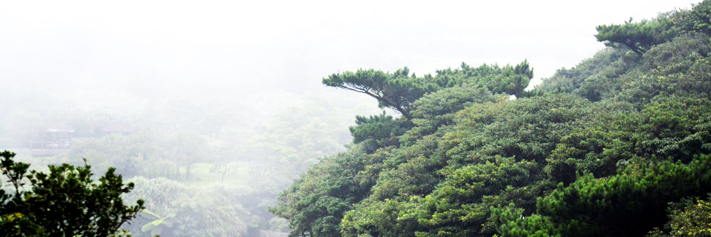 永爲's banner