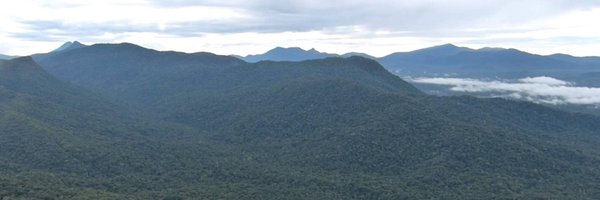 JennerCL Profile Banner