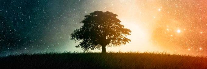 Any | Eras tour 11/11🍂 banner