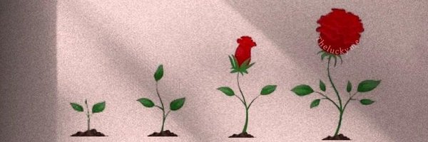JollyShifi Profile Banner