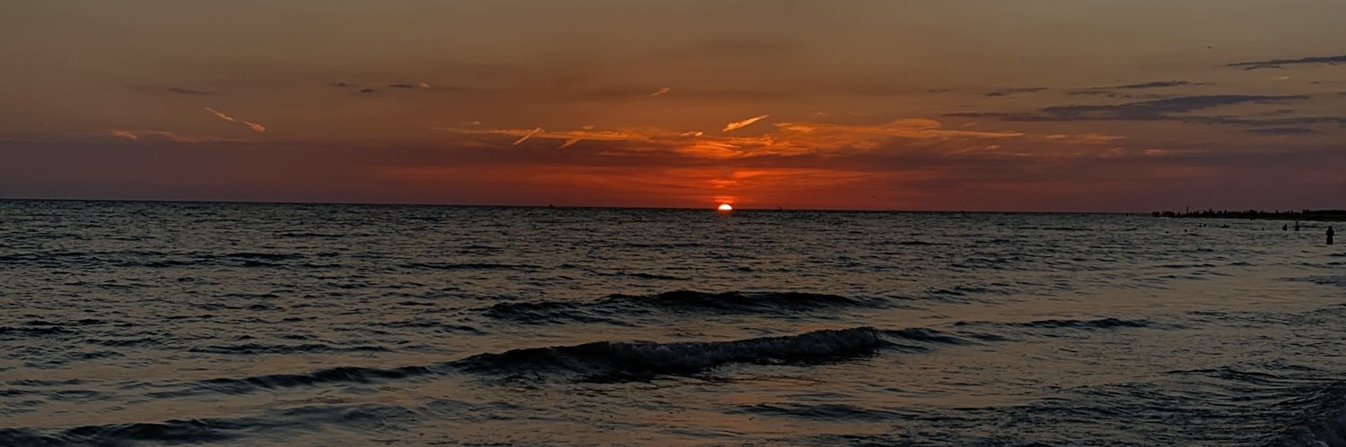 MadiFerruzza's profile banner image