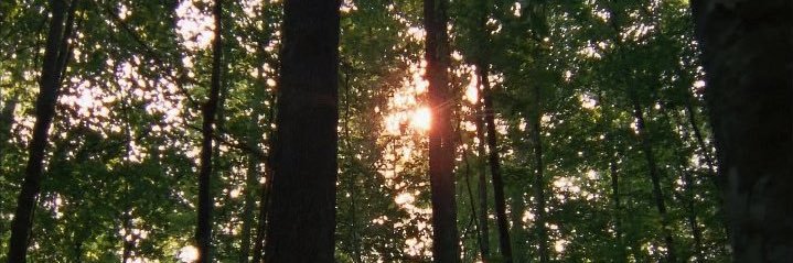 m banner