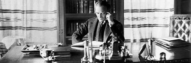 zeki 𐰔𐰚𐰃 banner