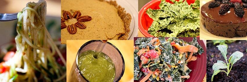 runplantbased's profile banner image