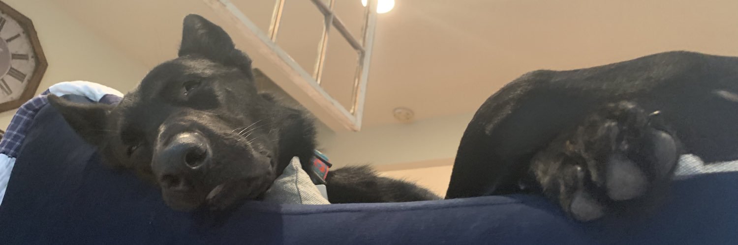 thusjamiesaid's profile banner image