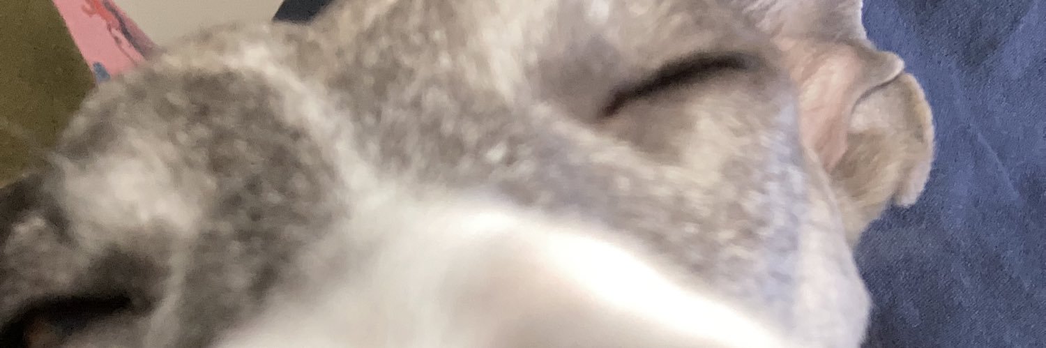 Rafioli2's profile banner image