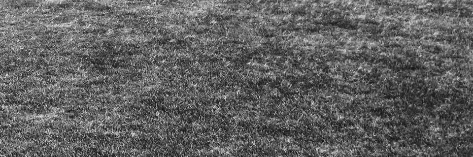 marisgn's profile banner image