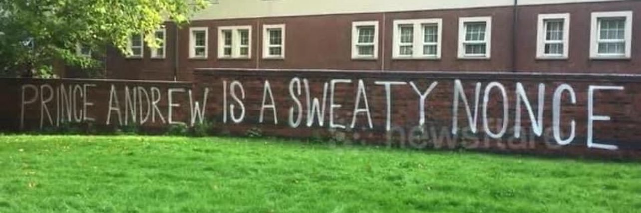 Steve Robb 🏴󠁧󠁢󠁳󠁣󠁴󠁿🇮🇪🏴󠁧󠁢󠁷󠁬󠁳󠁿♍️🐒💙 banner