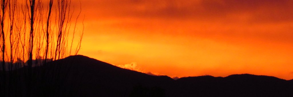 cristtg__'s profile banner image
