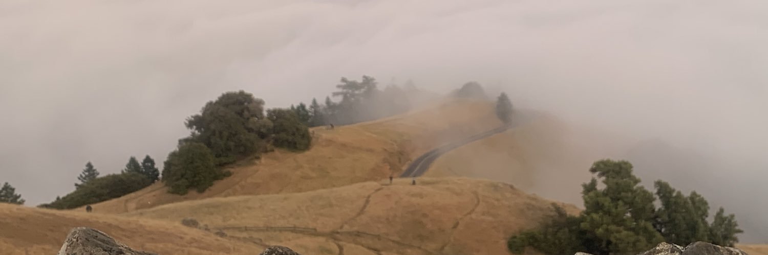 Shalaco rhymes with Calico banner