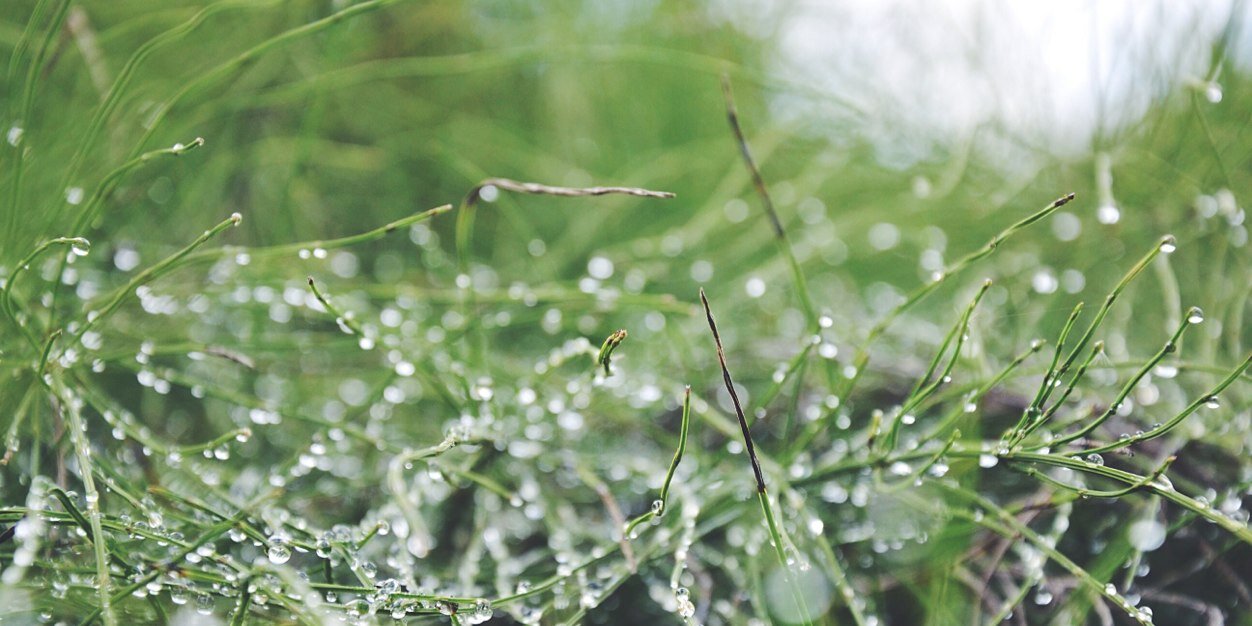 Loek Hennipman banner