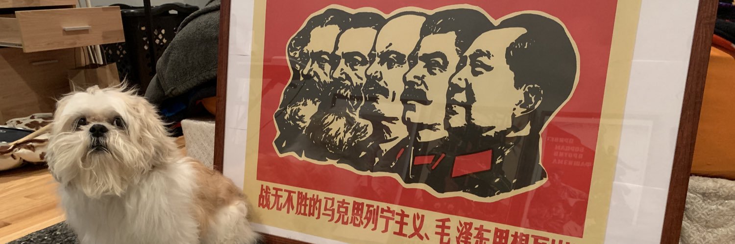 Peace Enthusiast banner