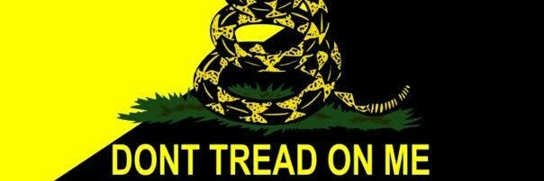 PirataANCAP🇺🇦🇮🇱 banner