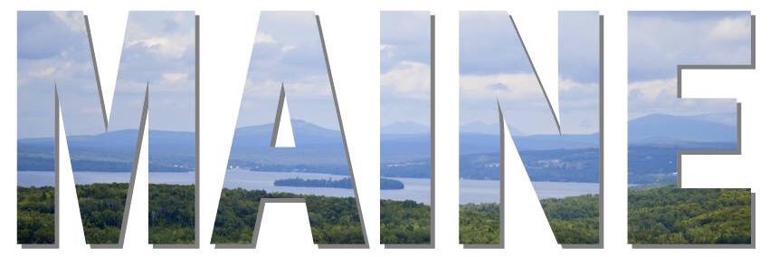 Shannon banner