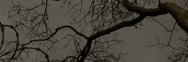 bugmode Profile Banner